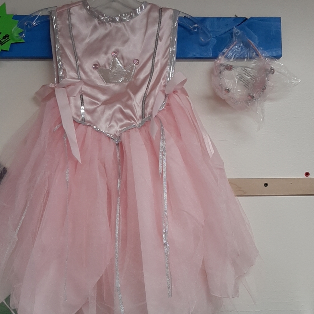 Brand New Princess Dress with Tiara.